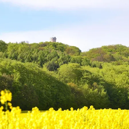 Im Seepark Daire Sellin (Rugen)